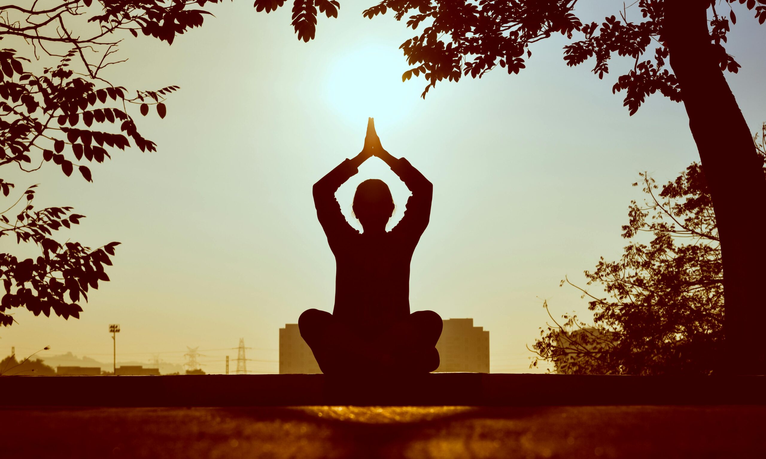 Yoga pose